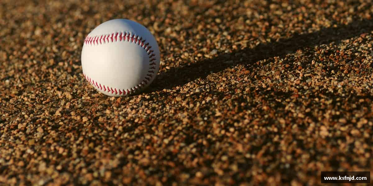 努力拼搏，才能收获理想的未来。